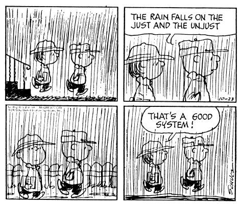Peanuts rain